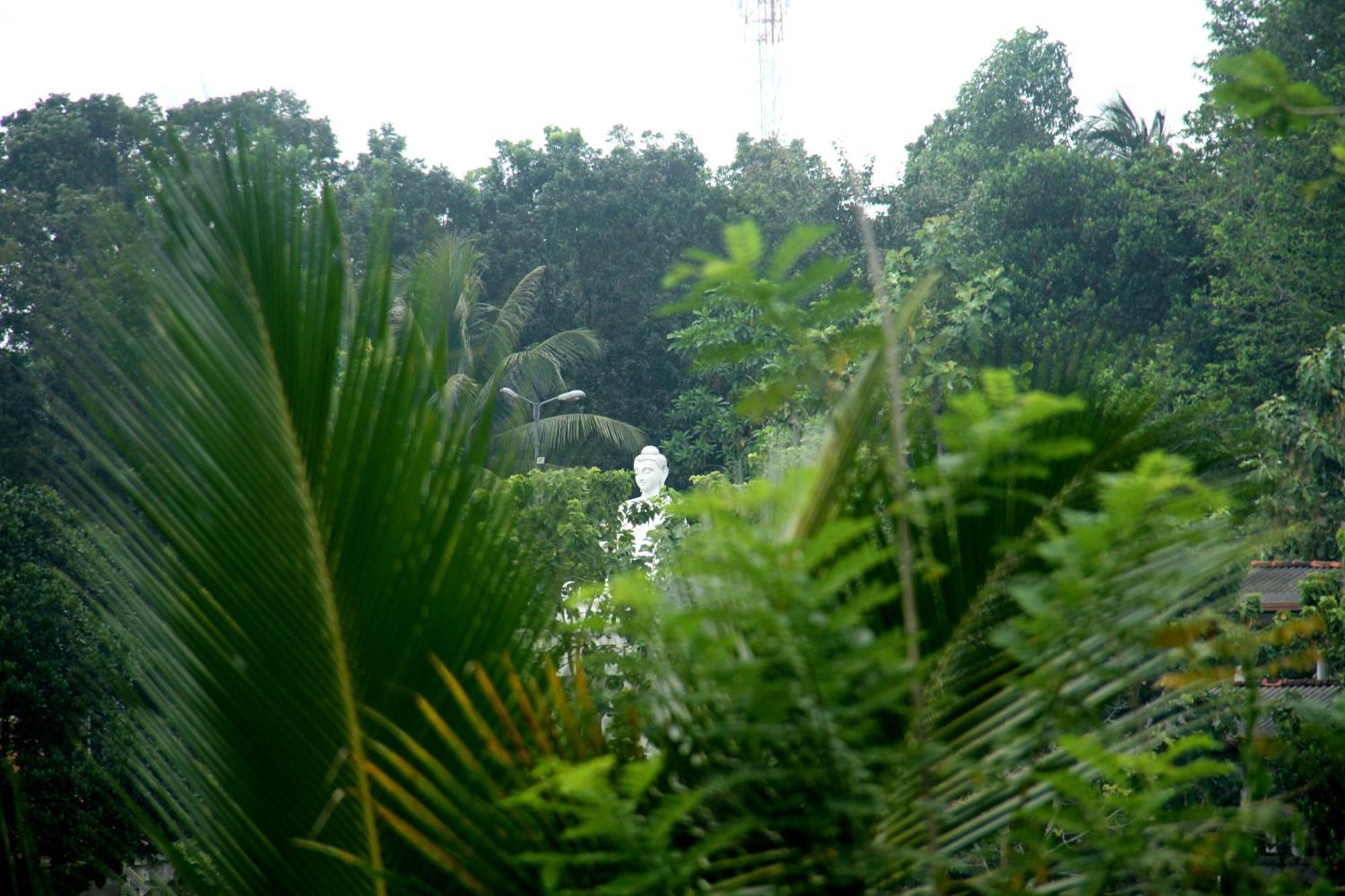 The Breeze Pinnawala Pinnawala  Exterior foto